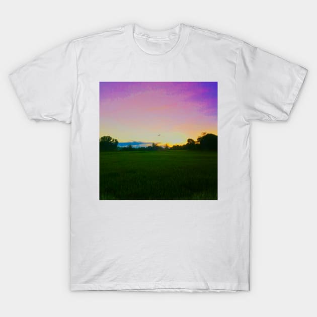 Rainbow Sky, Orange Sunset and Green Fields T-Shirt by byjasonf